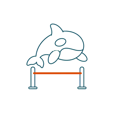 The orca steps over a bar set at ankle height